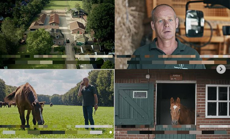 Kleurcorrectie individueel profiel ingekleurd kleurpallet zichtbaar gemaakt