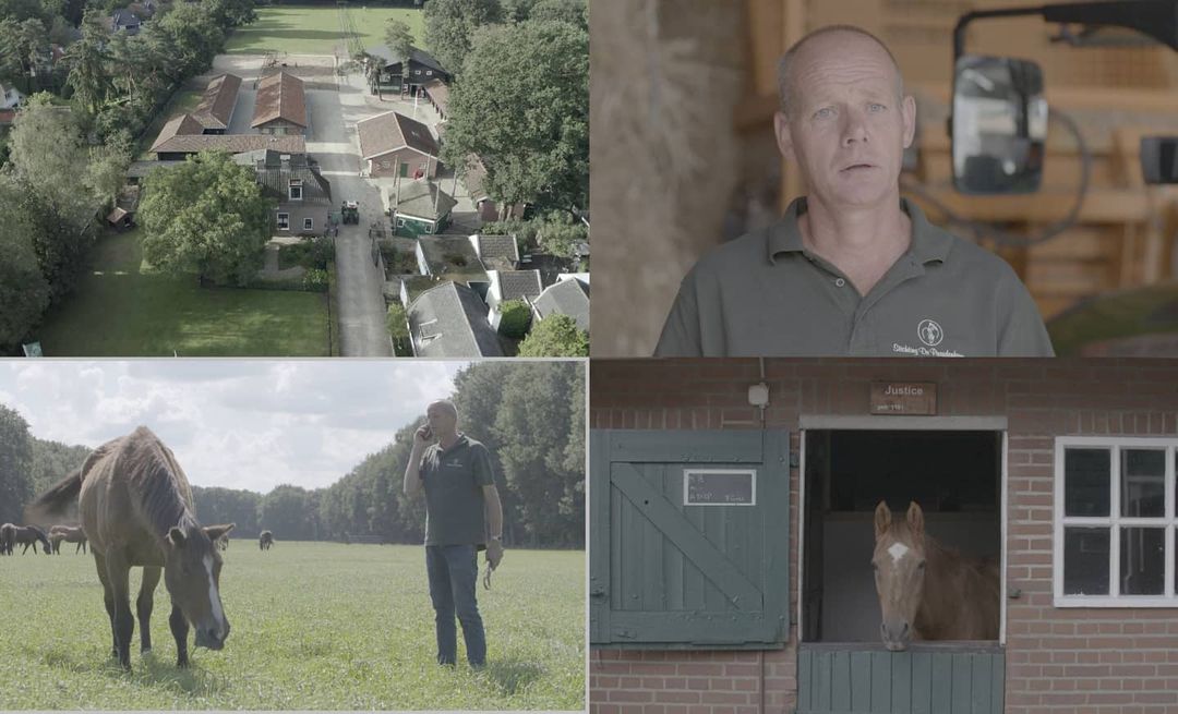 Vlak kleurprofiel direct uit de camera